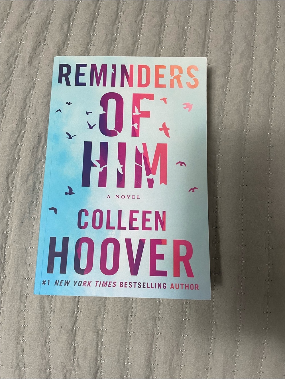 Reminders of Him by Colleen Hoover book